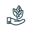 sustainibility